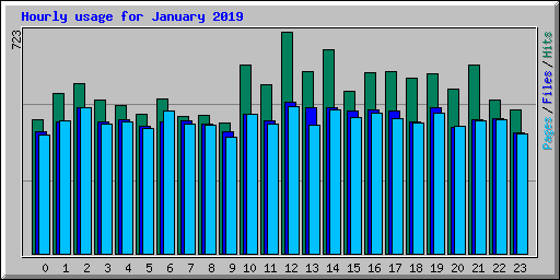 Hourly usage for January 2019