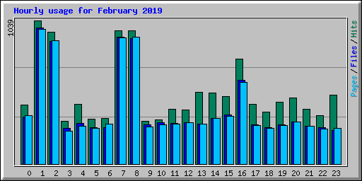 Hourly usage for February 2019